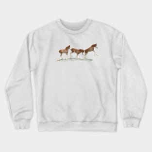 Foal Fun Crewneck Sweatshirt